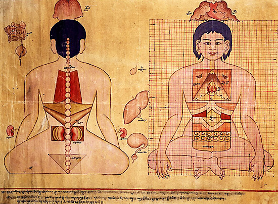 南派藏医的流传及发展史探秘